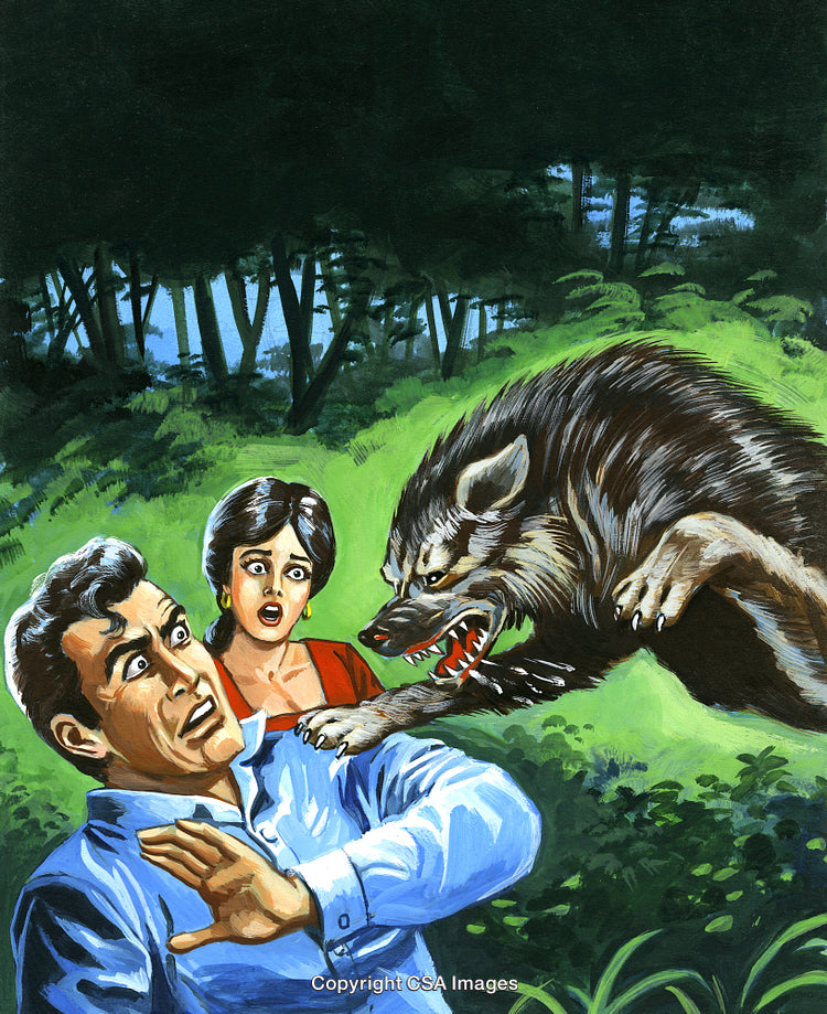 Frightened Couple Facing Aggressive Wolf Attack in Forested Area