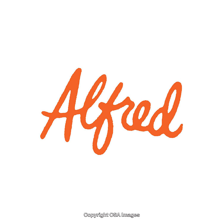 Orange Handwritten Style Text on Clean White Background