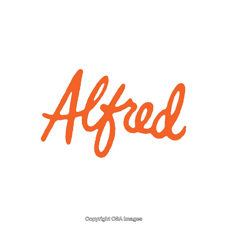 Orange Handwritten Style Text on Clean White Background