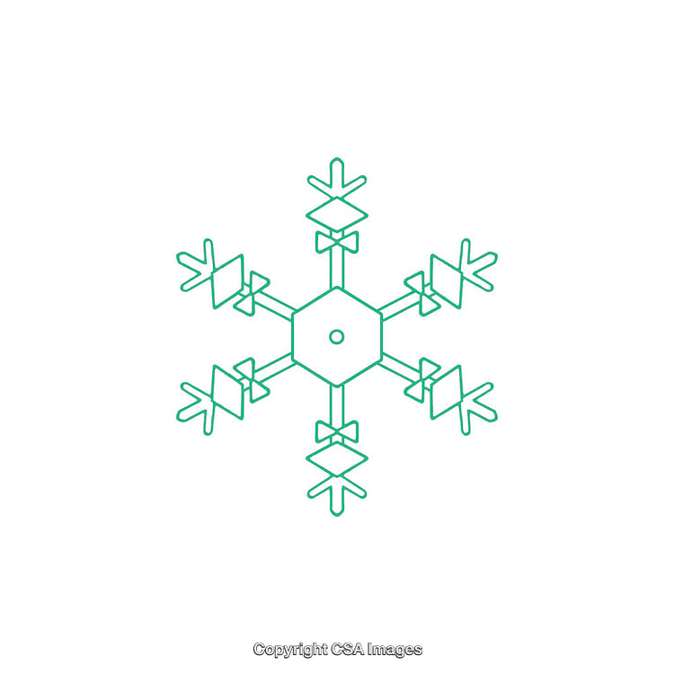 Intricate Green Snowflake Dingbat with Geometric Details on White Background