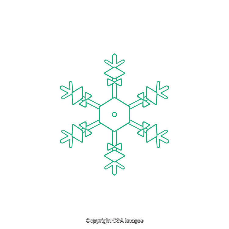 Intricate Green Snowflake Dingbat with Geometric Details on White Background