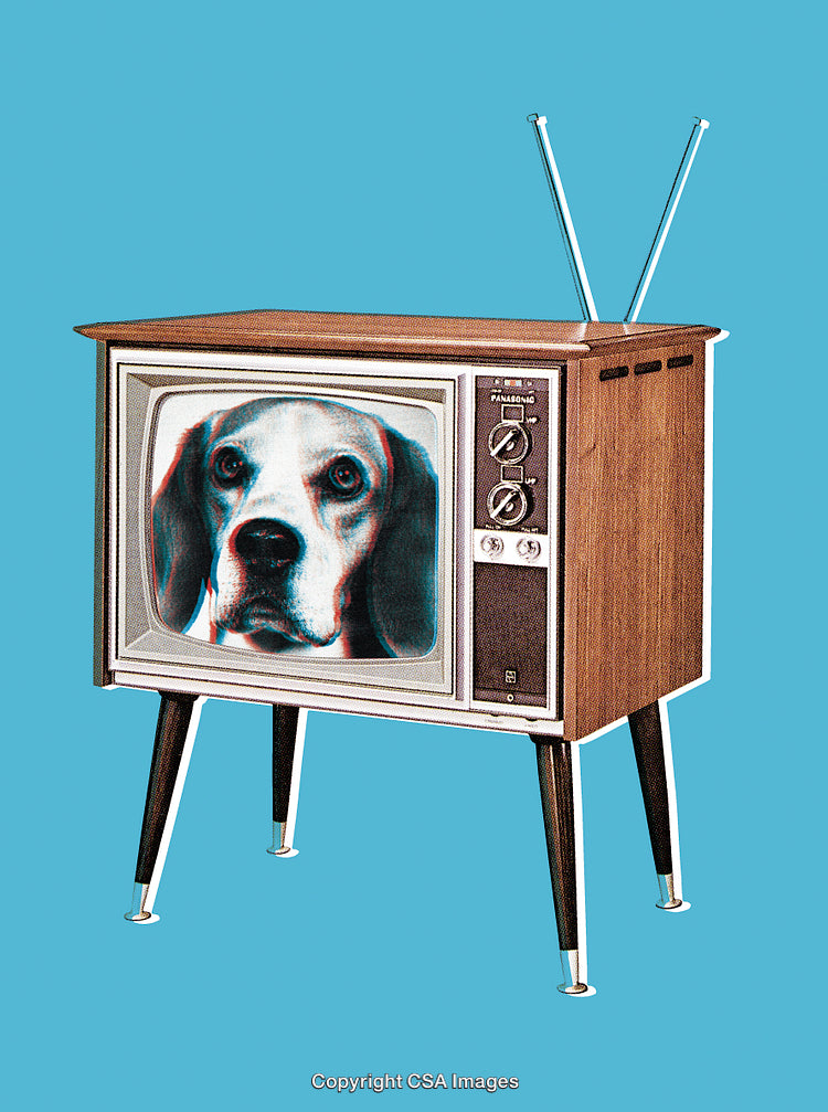Retro Television Featuring a Dog Image with Pop Art Style Design