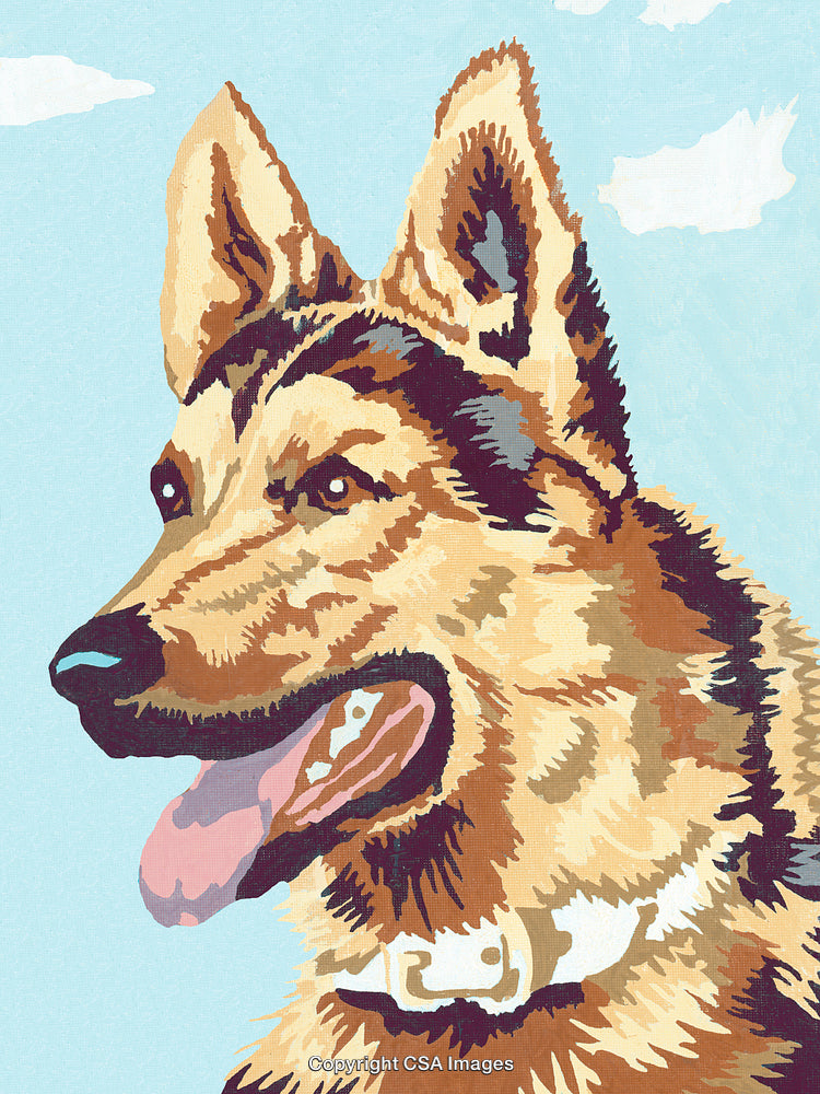 Paint by Numbers Depiction of a Dog with Sky Background