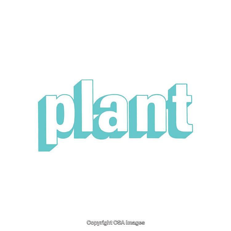 Stylized Bold Typography Depicting Plant in Solid White and Aqua Colors