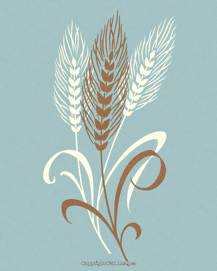 Elegant Graphic Design of Wheat Ears on a Subtle Blue Background