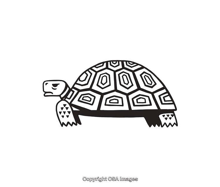 Black and White Line Art Illustration of a Turtle With Intricate Pattern