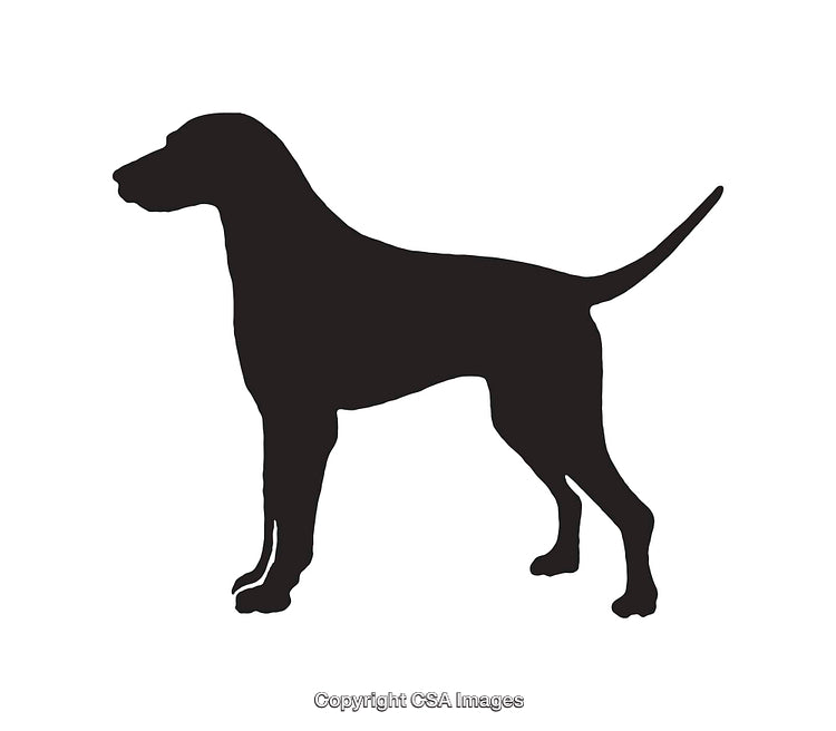 Silhouette of a Standing Dog in Profile on White Background