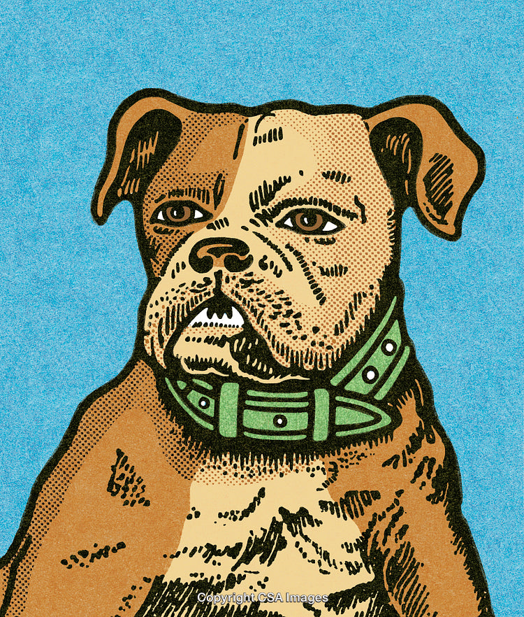 Illustration of a Bulldog Wearing a Green Collar on a Blue Background