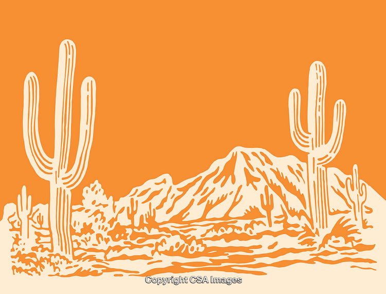 Vibrant Desert Scene Illustration With Cacti and Mountains