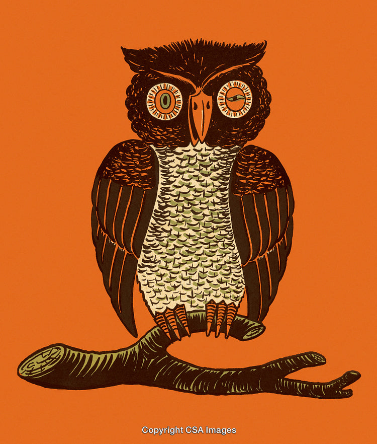 Stylized Owl Illustration on a Bright Orange Background Perched on a Branch