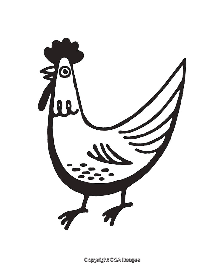 Charming Black And White Line Art Illustration of a Chicken
