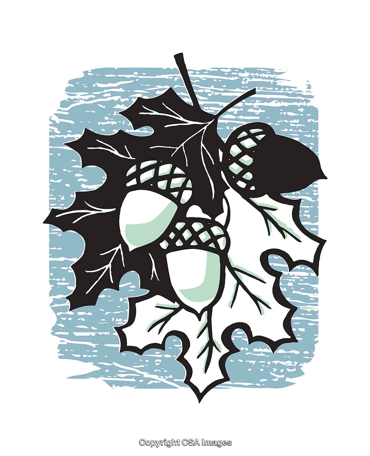 Color Illustration of Acorns and Oak Leaves with Rustic Blue Background