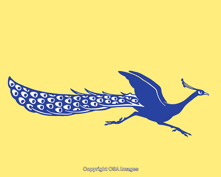 Elegant Blue Peacock Illustration on a Yellow Background