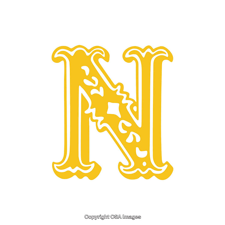 Elegant Ornate Yellow Letter N on White Background