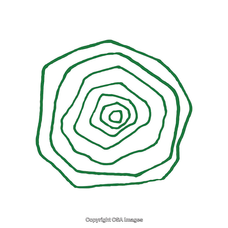Green Concentric Line Shape in Abstract Circular Pattern