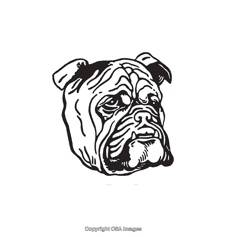 Detailed Black and White Illustration of a Bulldog Face