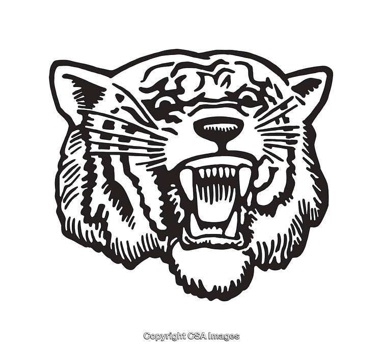 Detailed Black and White Line Art of a Roaring Tiger's Head