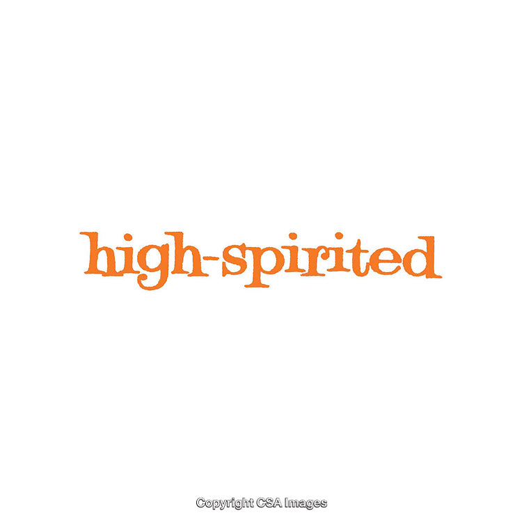 Orange Text Displaying the Energetic Phrase 'High-Spirited' on White Background