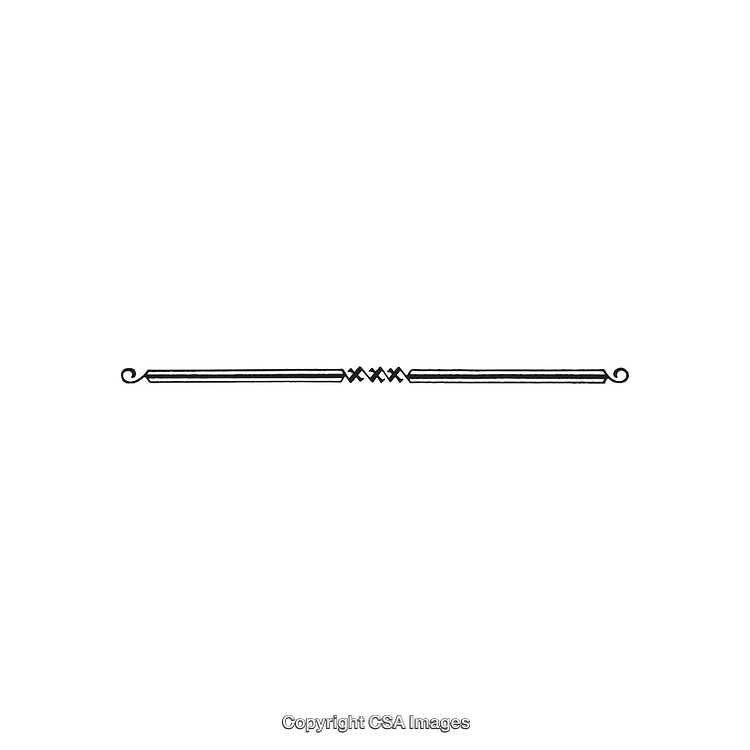 Elegant Black and White Decorative Divider Ornament Design