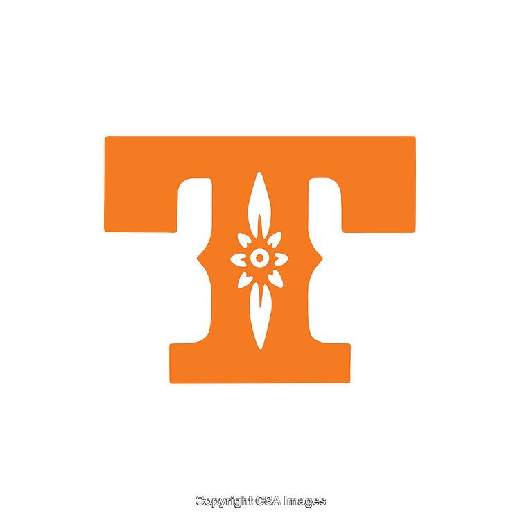Stylized Orange Letter T with Decorative Floral Design Element