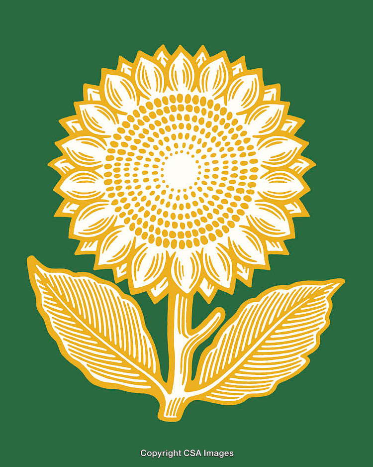 Vibrant Sunflower Illustration in Yellow and Green Line Art Style