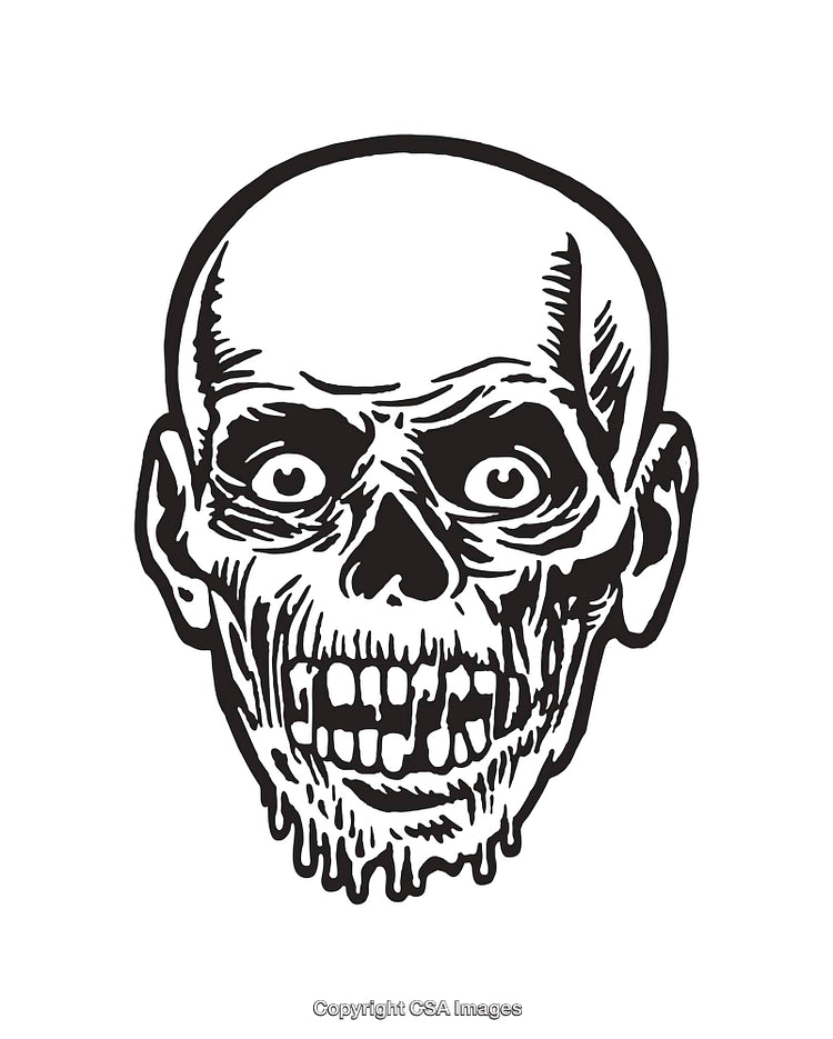 Black and White Illustration of a Skeletal Face with Detailed Features