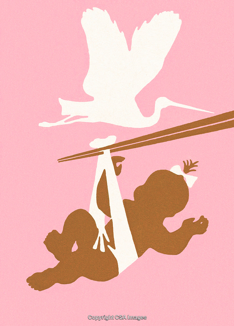 Illustration of a Stork Carrying a Baby Over a Pink Background