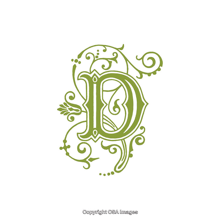 Elegant Floral Letter D With Decorative Green Vine Elements