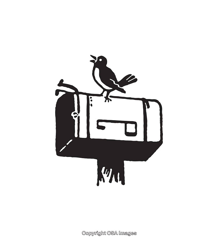 Minimalist Illustration of a Bird on a Mailbox in Black and White