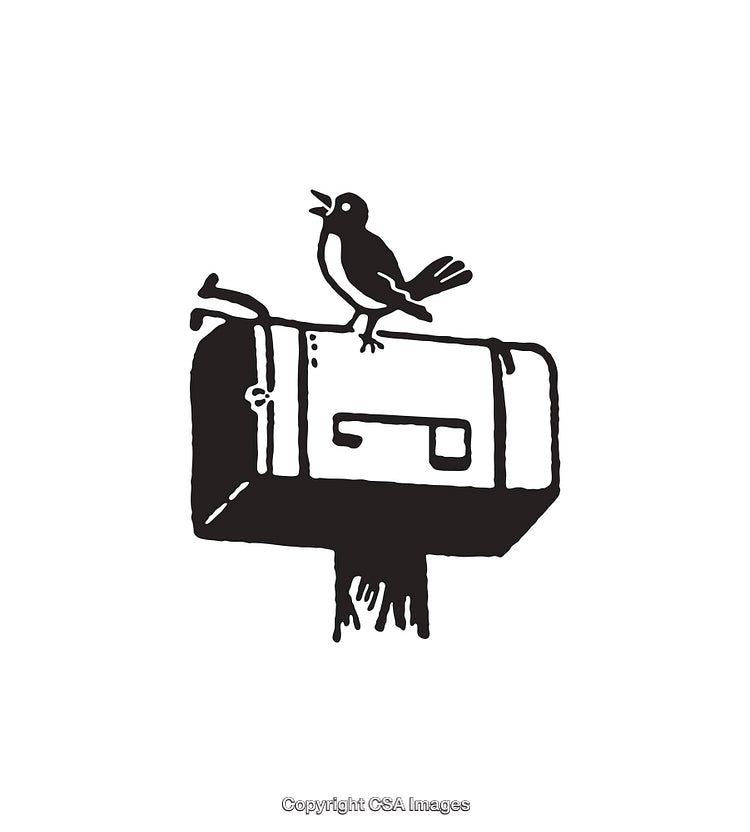 Minimalist Illustration of a Bird on a Mailbox in Black and White