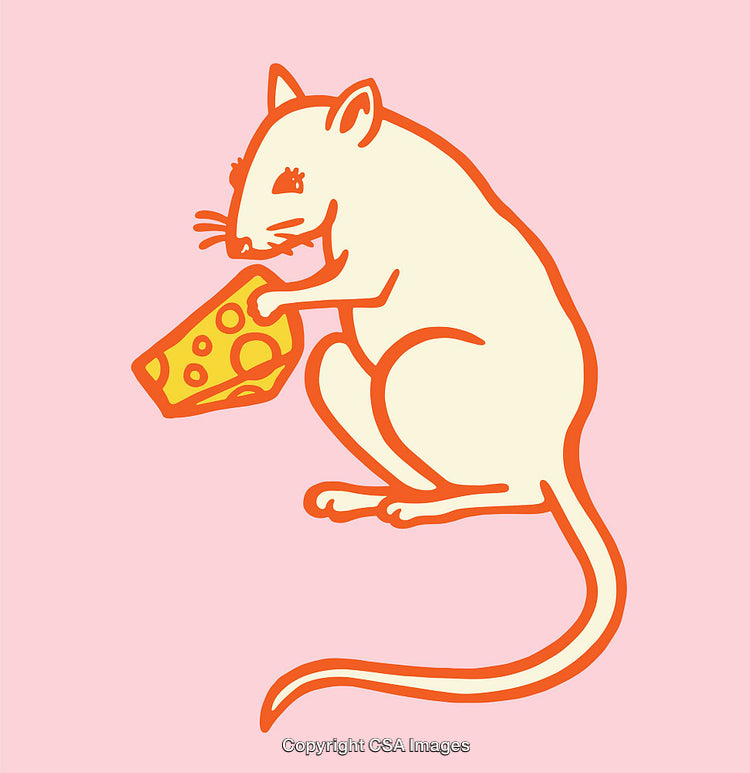 Illustration of a Cartoon Mouse Holding Cheese on a Pink Background