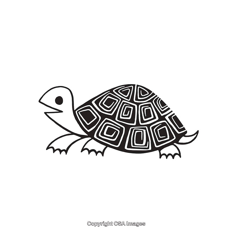 Black And White Line Art Illustration of a Tortoise