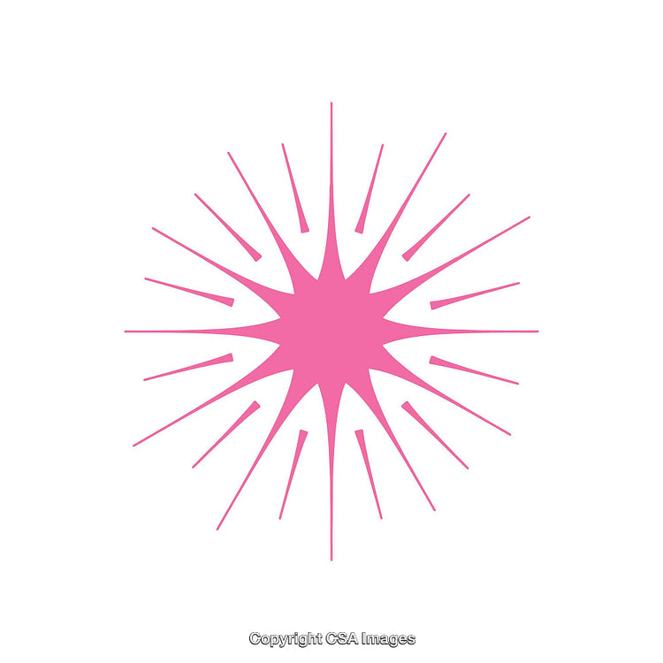 Pink Starburst Shape on a White Background
