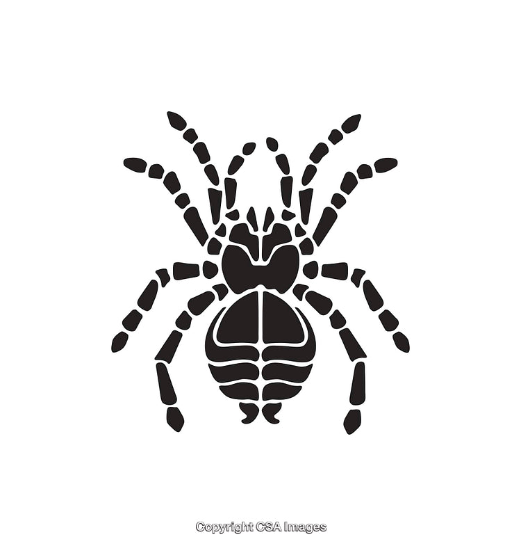 Detailed Black and White Icon of a Tarantula Spider