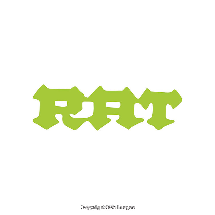 Minimalist Typography Design Featuring Green Stylized Lettering on White Background