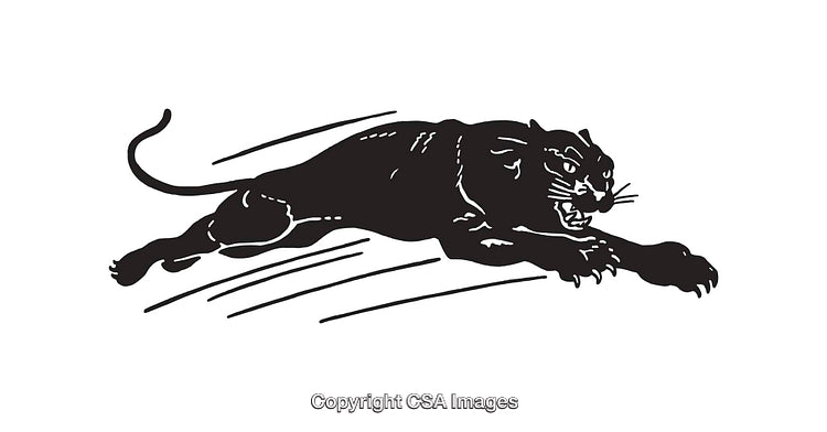 Black Panther Illustration in Simple Black and White Line Art Style
