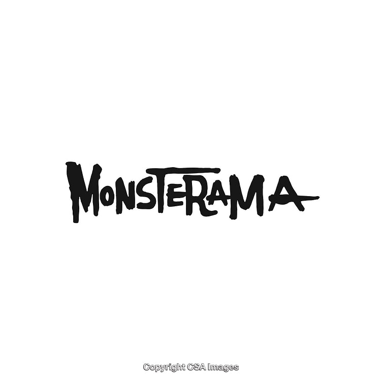 Black Monstera Themed Inspirational Decorative Typography Print on White Background