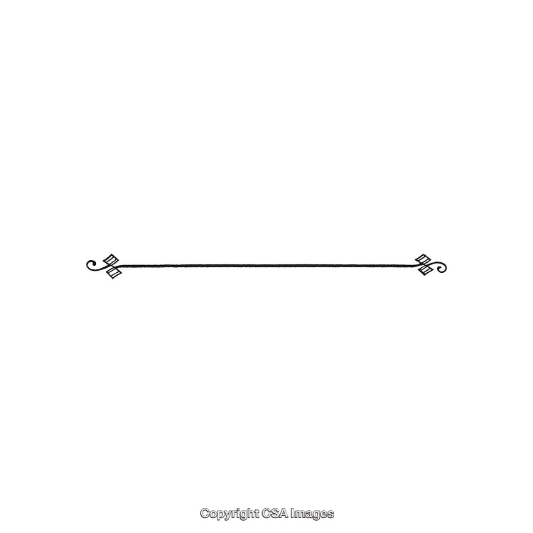 Elegant Black and White Decorative Ornamental Divider Line with Swirl Details