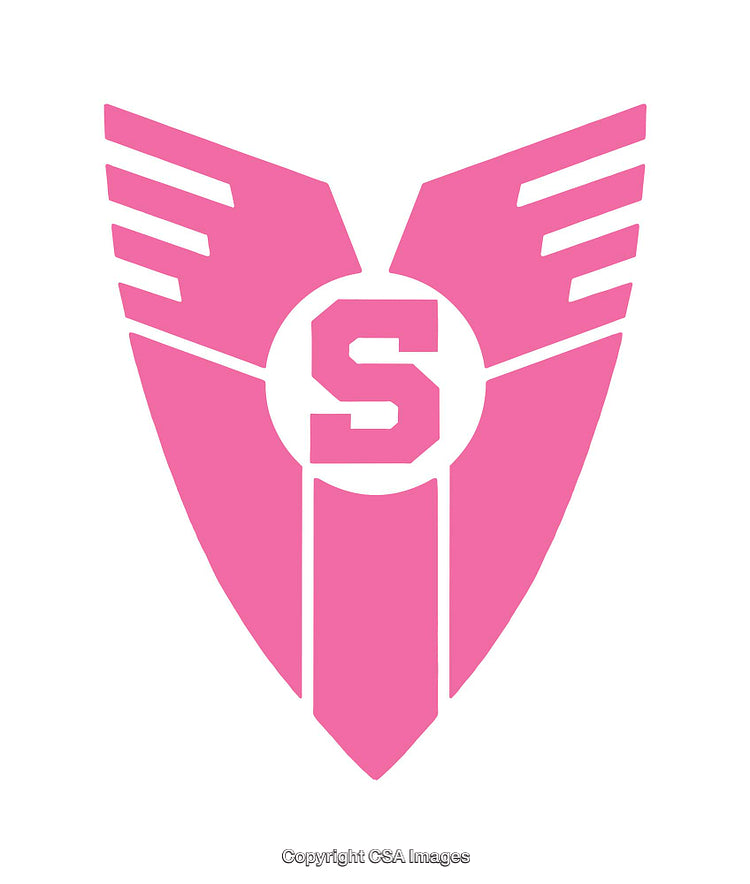 Pink Winged Shield Icon with Simple S Letter Design