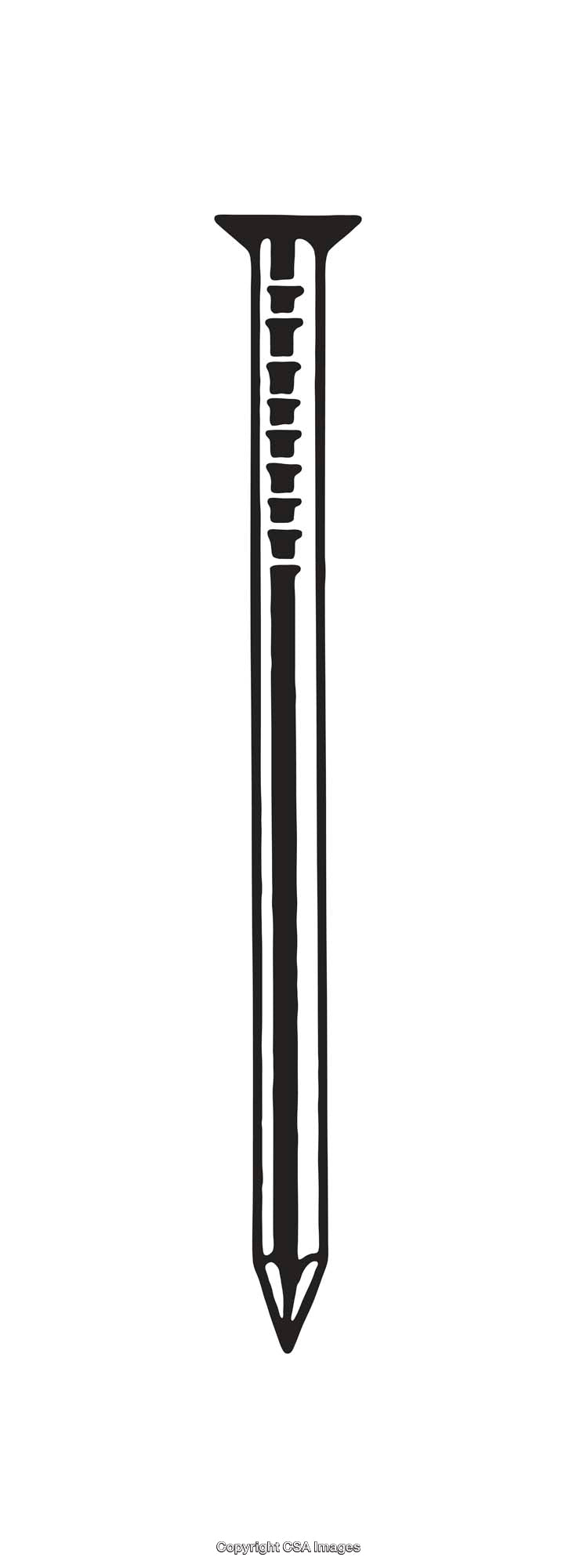 Black and White Line Art Illustration of a Nail With Detailing