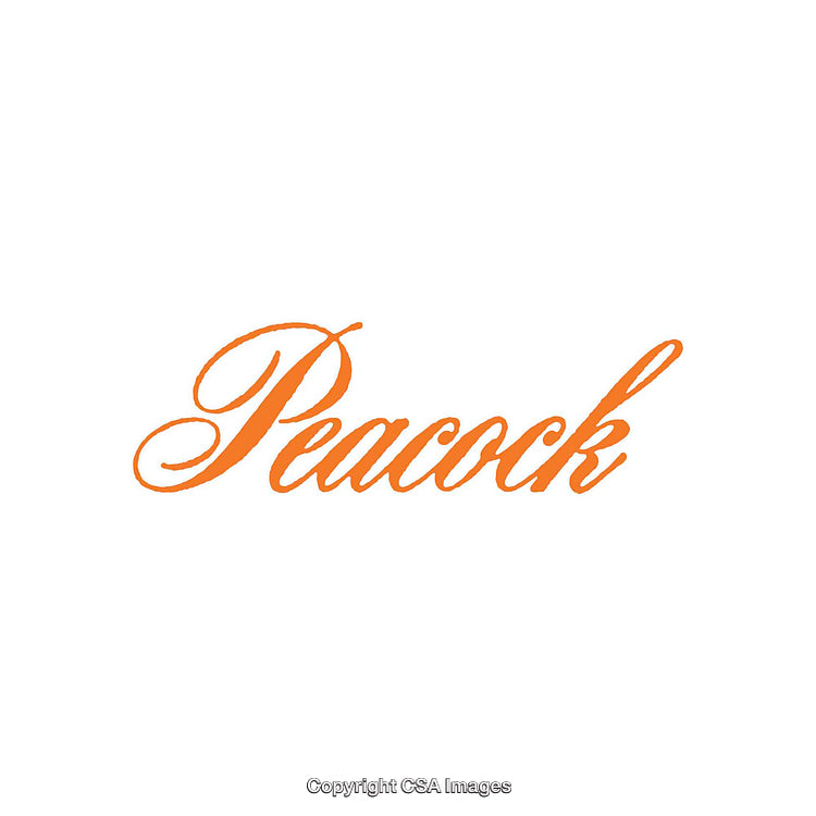 Orange Script Text Displaying the Word 'Peacock' in Elegant Style