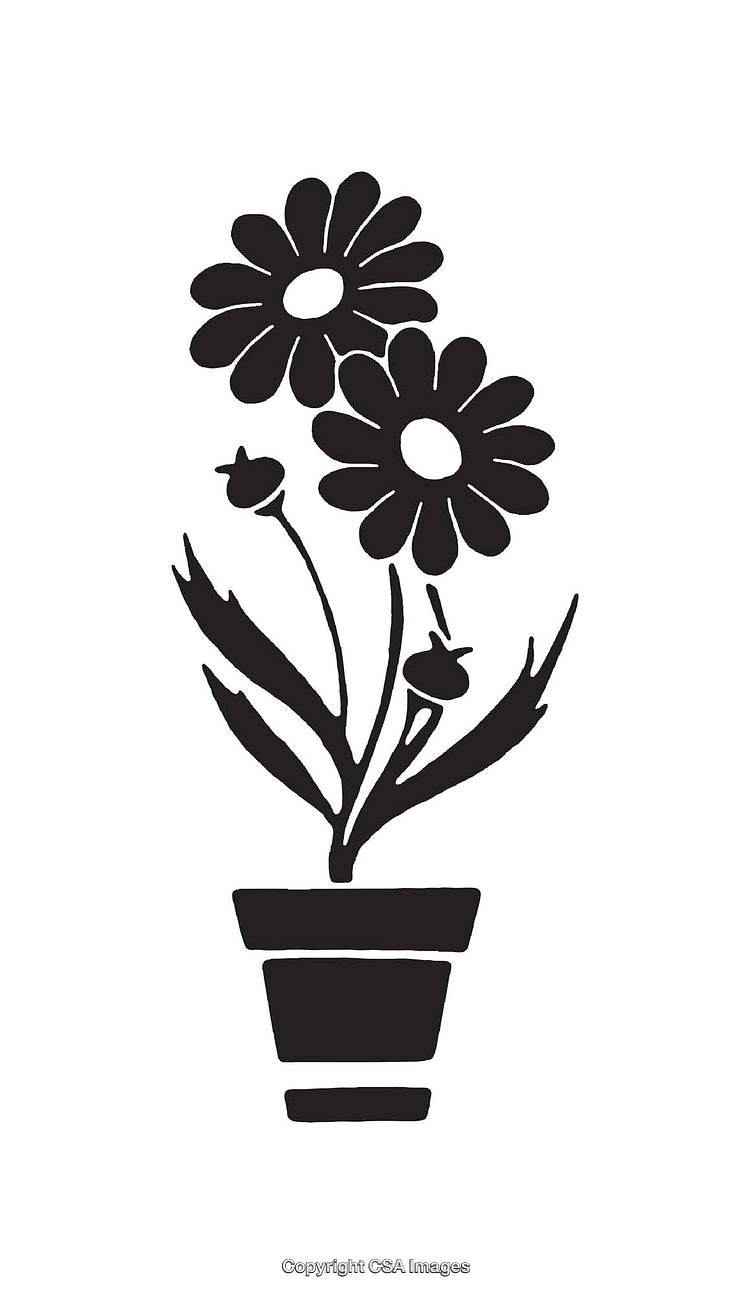 Black and White Line Drawing of Two Flowers in a Planter