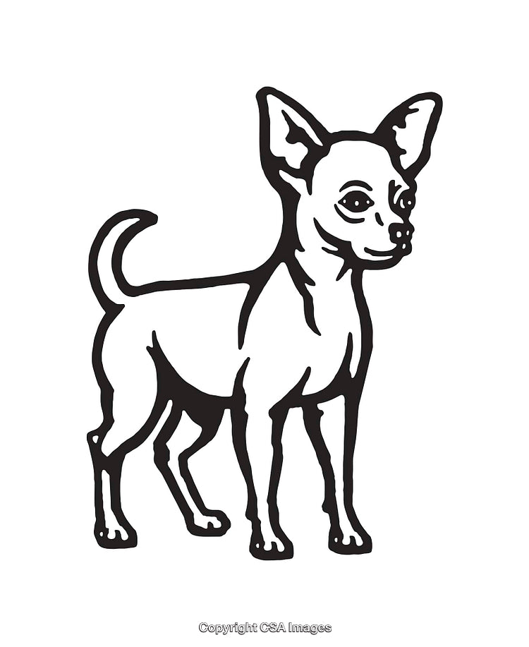 Black and White Line Art Illustration of a Chihuahua Standing