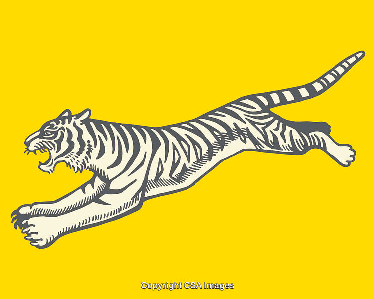 Vintage Illustration of a Striped Tiger on a Yellow Background