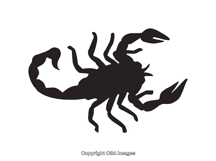 Black Silhouette Icon of a Scorpion on White Background