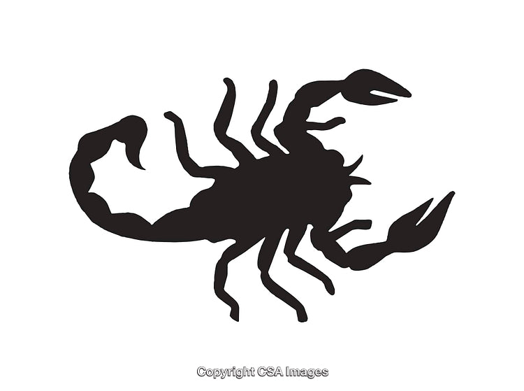 Black Silhouette Icon of a Scorpion on White Background