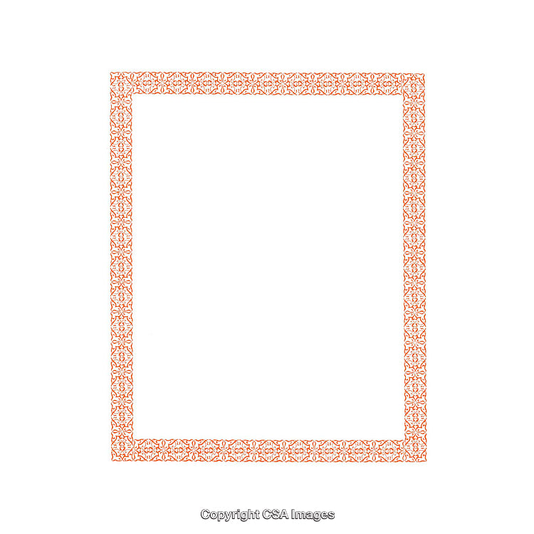 Ornamental Orange Border on White Background for Elegant Design