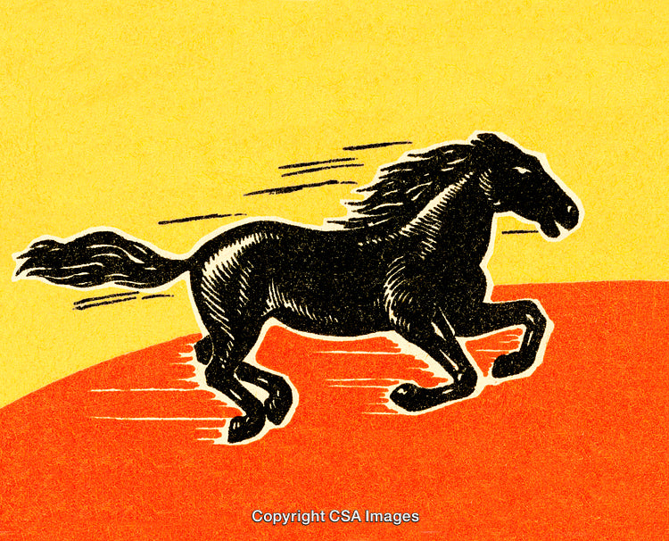 Illustration of a Black Horse Running Across a Vibrant Colorful Landscape