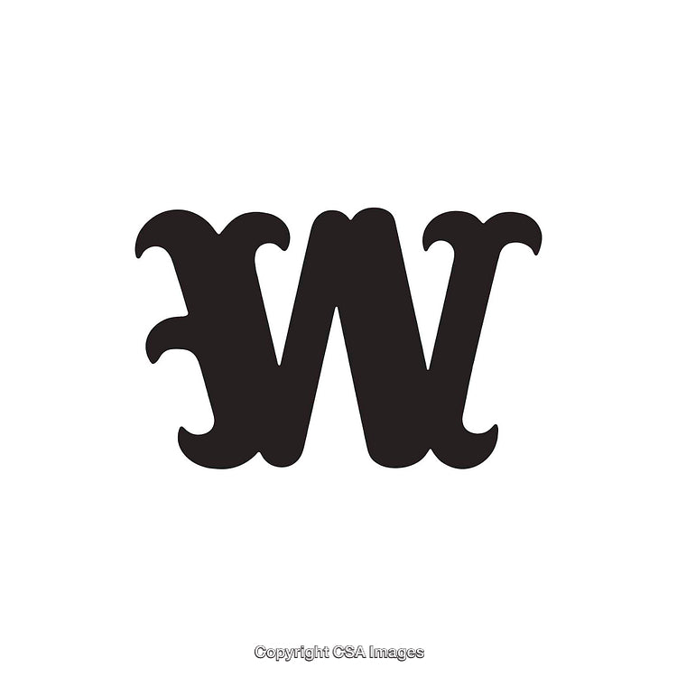 Elegant Serif-Style Black Letter W on a White Background