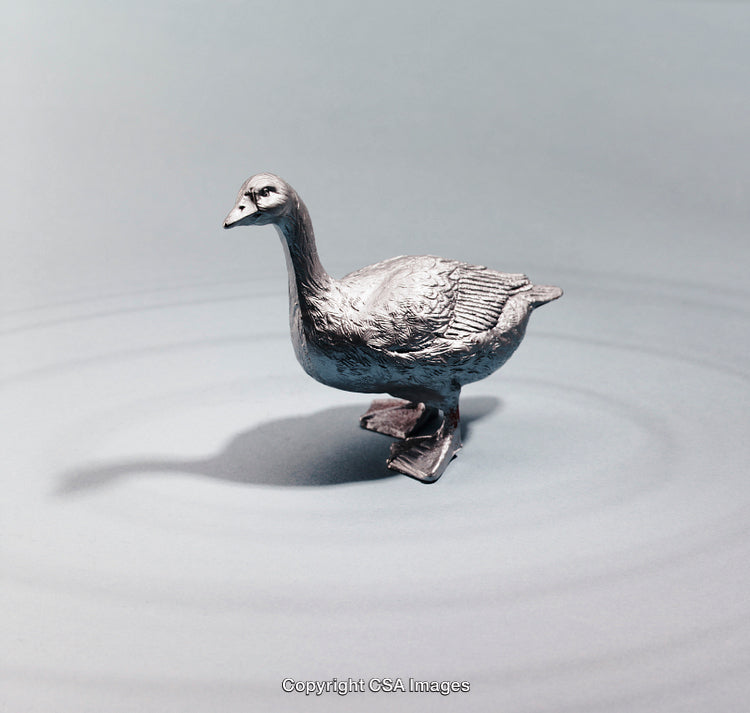 Close-Up of Metallic Figure of Goose on Flat Reflective Surface